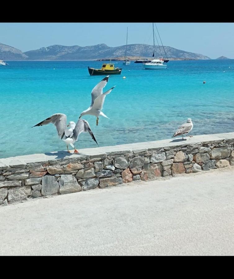Eos - Appartement De Charme Et Confort Pour 4 Personnes Pres De La Plage Et Du Coeur De Koufonissi Κουφονήσι Εξωτερικό φωτογραφία